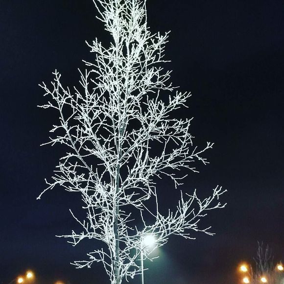 Meet your Posher, Naomi - Picture 1 of 1